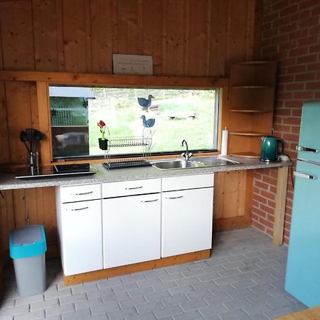 Ferienwohnung Und Sommerhaus Unter Der Burg Falkenberg  Exterior photo